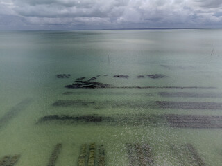 Aerial drone view of underwater oyster farms in Cancale, Brittany, exposed during low tide, raditional sustainable aquaculture and production of premium French oysters, France © barmalini
