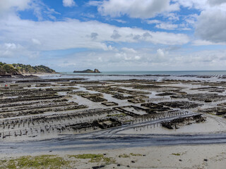 Aerial drone view of underwater oyster farms in Cancale, Brittany, exposed during low tide, raditional sustainable aquaculture and production of premium French oysters, France © barmalini