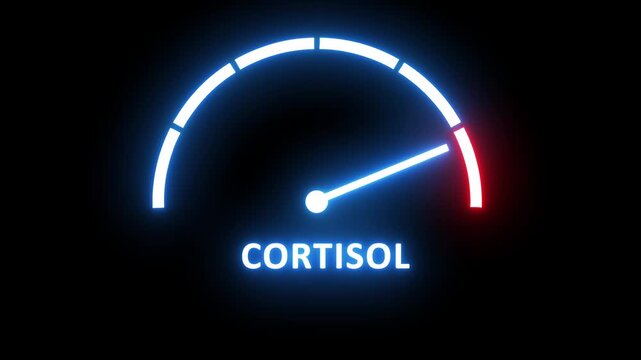 Animated neon cortisol level gauge meter rising to stress indicator, digital medical infographic displaying hormonal imbalance, physiological response monitoring concept for health and wellness