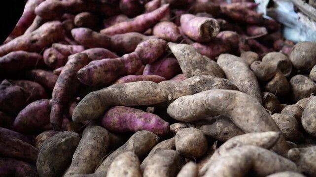 Close-up of fresh sweet potatoes piled together at a market stall showing earthy tones and natural textures ideal for food, agriculture or healthy eating concepts.