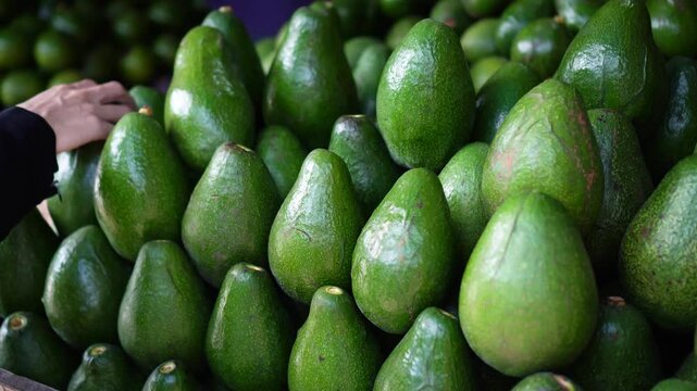 Fresh green avocados displayed in wooden crates at a vibrant market stall. A hand gently selects one from the pile, showcasing abundance and freshness for culinary or grocery retail use.