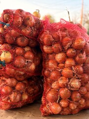 Fototapeta premium fresh organic strawberries