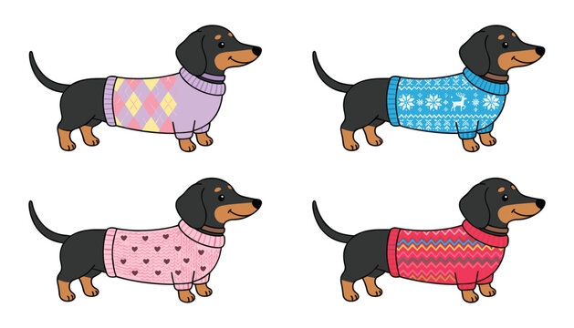 Cute dachshund puppy vector set wearing colorful winter knitted sweaters and holiday outfits isolated on white background