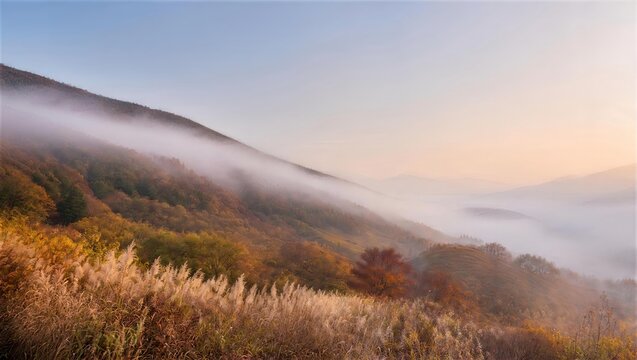 ススキの丘陵と低い雲に包まれた秋の山景色