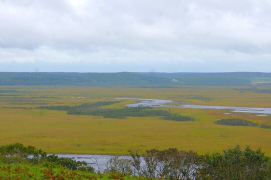 厚岸霧多布浜中国定公園の風景　霧多布湿原（琵琶瀬展望台）　