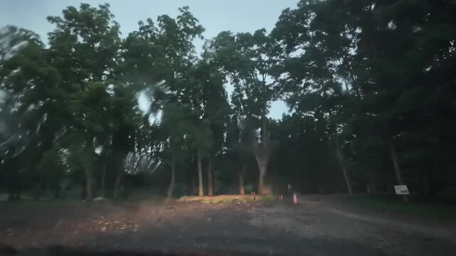 A timelapse of a storm over a forest as rain comes down and lightning flashes
