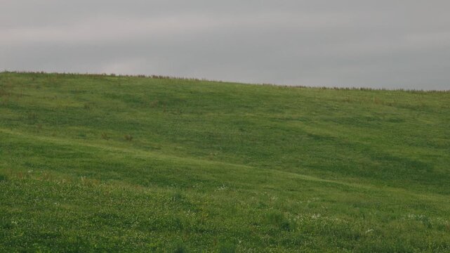 Gray sky and gently sloping grassy landscape
