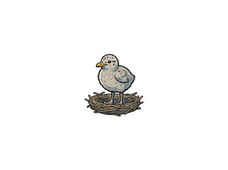 Seagull Chick Standing In Nest Isolated Vector Illustration © Cuan