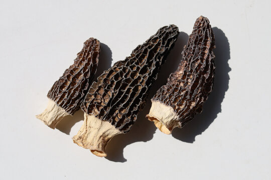 Dried morel mushrooms on white background.