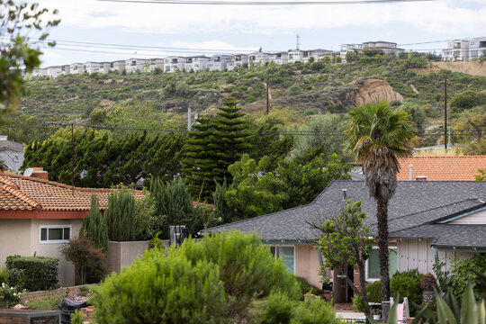 A palm tree frames houses in a downtown neighborhood of Montebello, California, USA.