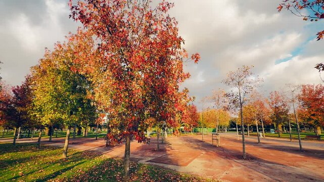 Autumn trees displaying vibrant red and orange foliage at Orhangazi City Park in Maltepe, Istanbul.