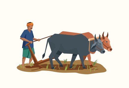 Vector of a farmer plowing a rice field using oxen.
