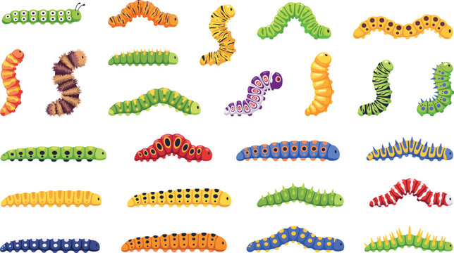 Set of colorful cartoon caterpillar characters and insect crawling larvae icons isolated on white background vector illustration