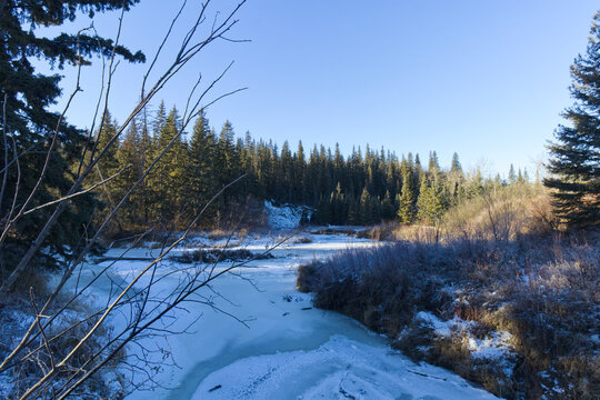 Whitemud Park in the Winter