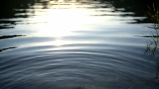 First-person view of bare feet entering calm lake water at sunset, creating gentle ripples and catching reflections.