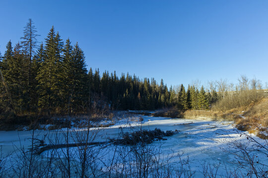 Whitemud Park in the Winter