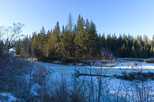 Whitemud Park in the Winter