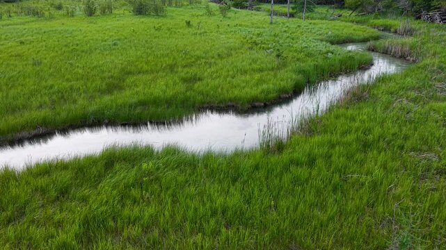 Drone flies over an S shaped stream winding through an expansive bright green marsh in the Upper Peninsula of Michigan