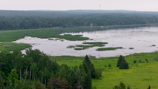 Elevated drone view reveals green marshland pools surrounded by dense forest in the wild Upper Peninsula of Michigan.
