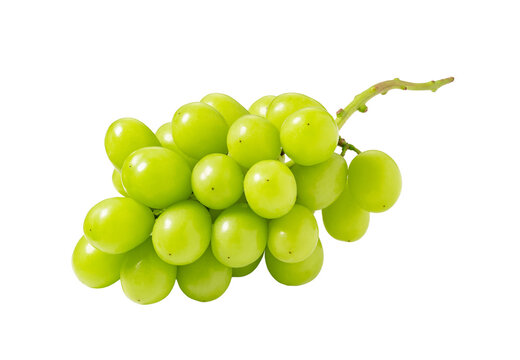 Shine Muscat grapes on a white background.