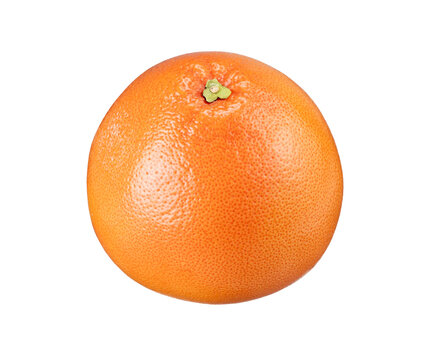 Grapefruit placed against a white background.