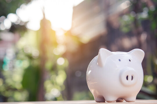 White piggy bank blurred garden background warm sunlight saving money concept financial planning investment concept finance concept copy space