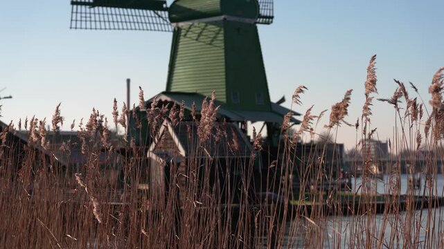 オランダの緑の風車と川辺のアシ原、冬の澄んだ空（Traditional Green Windmill and Reeds by the River, Netherlands）