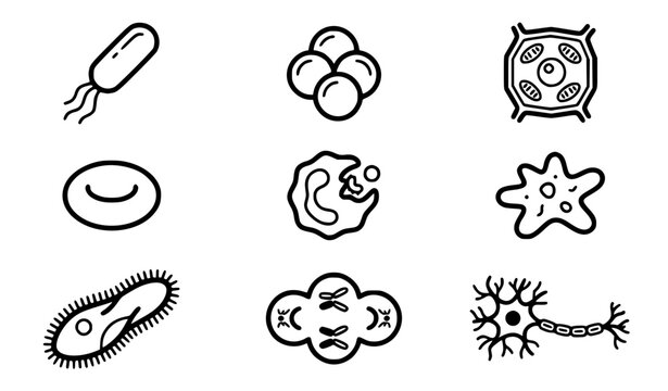 Microscopic cells and bacteria vector icons set microbiology science biology line art collection