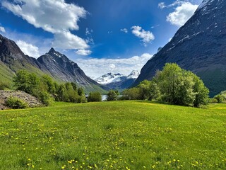 Fototapeta premium Norway