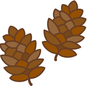 vector illustration of pine cone