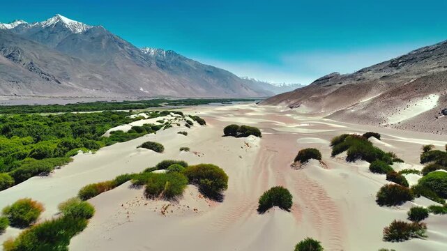 Aerial view of white sand dunes with green bushes in nubra valley