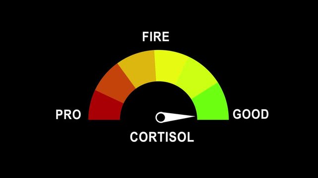 Cortisol level gauge meter animation: measuring stress and health indicators for medical and wellness data visualization