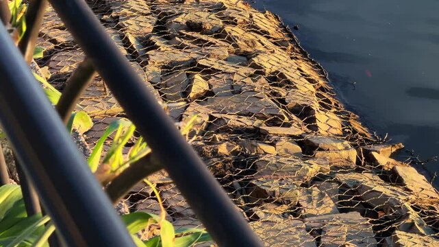 Close Up of Wire Mesh Gabion Riprap on city Riverbank