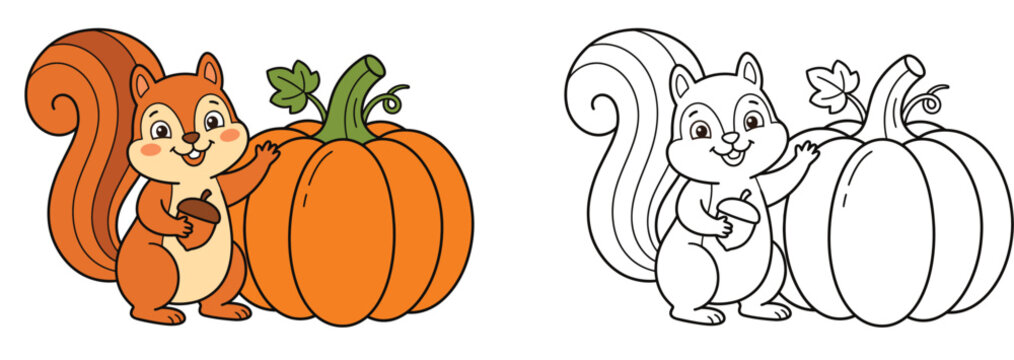 Cute cartoon squirrel with acorn and big pumpkin coloring page and colored vector illustration for kids