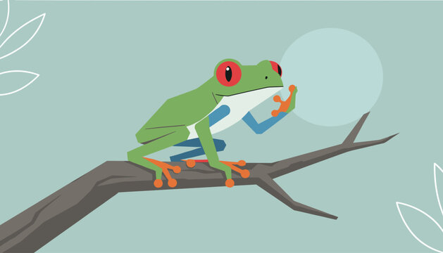 Red eyed tree frog with a vibrant green body and colorful legs is perched on a branch in a flat illustration.