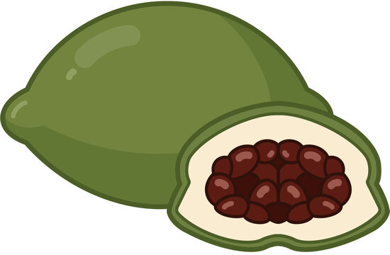 vector illustration of a pomegranate