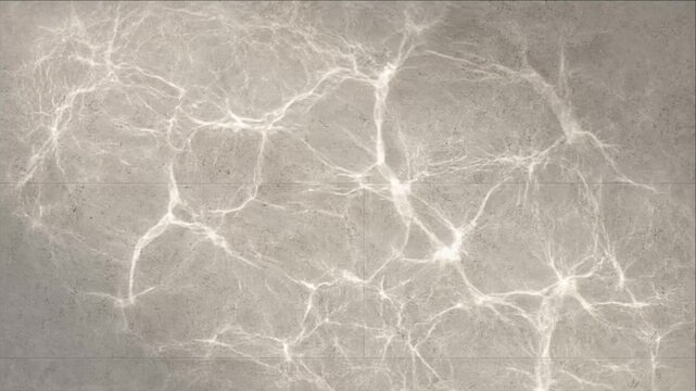 Cinematic Minimal Timelapse Marble Texture with Gray White Veining, Soft Light Reflection, Organic Wave Patterns, Tranquil Stone Background for Architectural Design and Abstract Composition