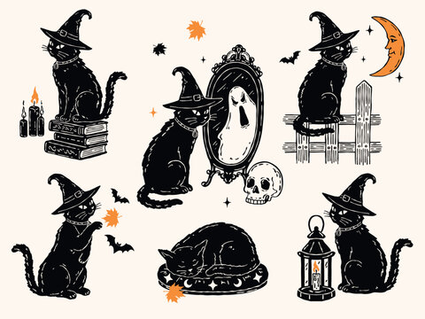 Vintage Halloween vector set with witch cats, mirror and ghost, cat on fence, sleeping cat, cat with books and lantern, candles, skull and bats. Hand drawn black silhouettes with orange accents