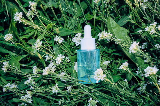 Skincare dropper bottle sitting among green foliage and small white wildflowers, representing natural beauty and wellness