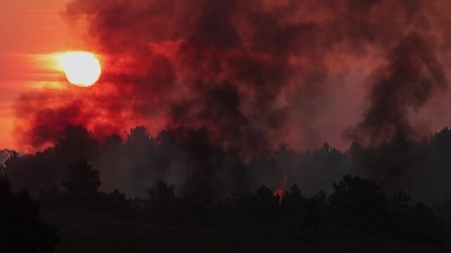 Thick wildfire smoke billows over a forest at sunset, casting dramatic orange hues and silhouettes. Captures intense heatwave conditions and atmospheric impact of severe El Ni&ntilde;o cycle.