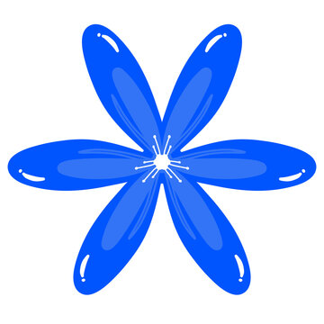 kamboja blue flower