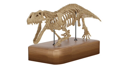 3d rendering fossil skeletons high poly of a dinosaur skeleton © santiago