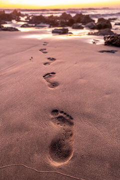 Footprints In Wet Sand At Sunset. Troncones, Guerrero. Mexico