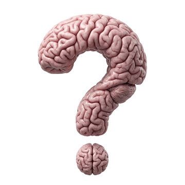 Human brain silhouette morphed into question mark shape with gyri texture isolated transparent PNG, mental health psychology concept