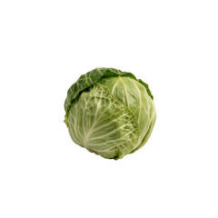 Fototapeta premium Cabbage on white background from with clear details showcasing the texture and shape of the vegetable
