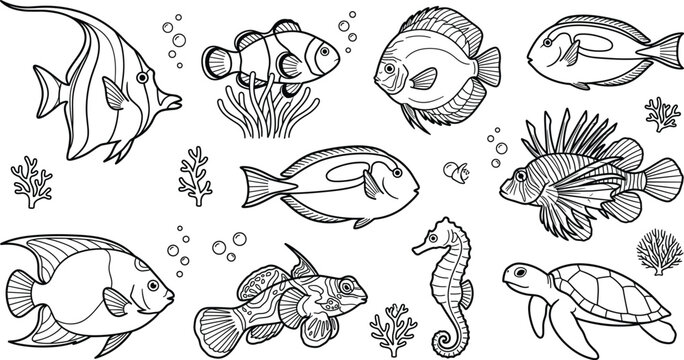 Tropical coral reef fish vector line art set with clownfish lionfish seahorse sea turtle and underwater marine icons