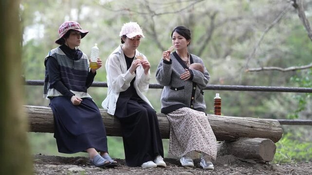 Three women sit on a log bench and gesture as they talk during a relaxed woodland break.