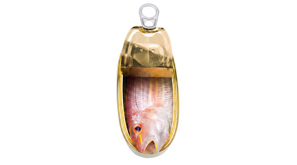 Open gold tin containing a single fresh whole red snapper fish with open mouth © Md