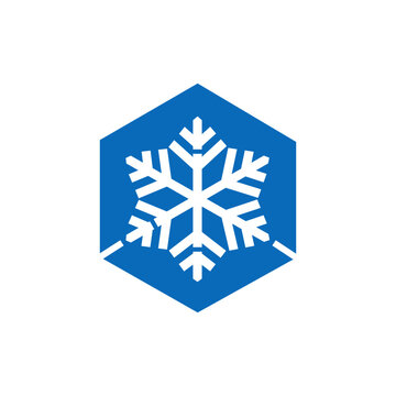 Snowflake in Hexagon Logo