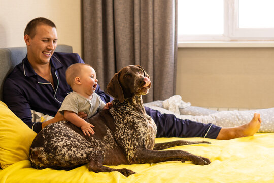 Father And Baby Son Bonding With German Shorthaired Pointer